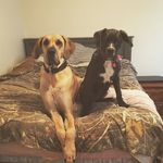 DAISY & STOUT - @teller.daisy - Instagram