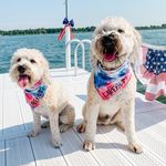 Daisy & Stout - @daisy_and_stout_the_wheatens - Instagram