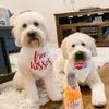 Daisy & Stout - @daisyandstoutthewheatens - TikTok