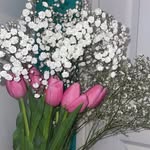Daisy - @daisystreet.x - Instagram