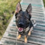 Daisy Street - @thelifeofdaisystreet - Instagram