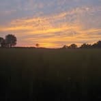 Daisey Stroud - Facebook