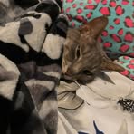 Daisy Stroud - Facebook