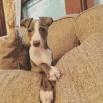 Daisy Grey Stubblefield🌼 - @daisygreystubbs - Instagram