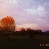 Daisy Stubbs - @user94087951 - TikTok