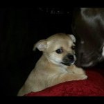Daisy Mae Sumner - @daisymaesumner - Instagram