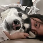 다사랑스럽고 예쁘게 - @daisysung.kr - Instagram