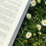 Daisy♡ - @daisysung8 - Instagram