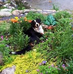 Daisy Sutherland - Facebook