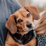 Daisy Ann Swartz - @daisyswartz - Instagram