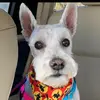 Daisy May Schwartz - @daisy.schwartz - TikTok