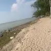 daisy - @daisy.sweeney - TikTok