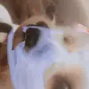 daisy - @pov.yourdaisysweeney - TikTok
