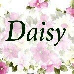 الظهران الخبر الدمام ✨ - @daisy__sweet - Instagram