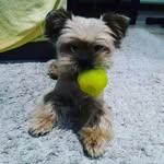 ❤❤Daisy❤❤ - @daisy._.sweet - Instagram