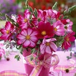 Daisy Sweet - Facebook