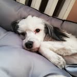 Daisy_sweet - @_daisy_sweet_ - Instagram