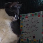 Daisy Dibbles Swift - @daisydibblesswift - Instagram