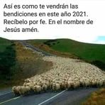 Daisy Maribel Tabora - Facebook