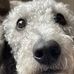 Daisy Talbot - Facebook