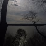 Daisy Tannen - @daisytannen_ - Instagram