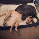 Daisy And Tanner Cooper - @daisymae_tannerjack - Instagram