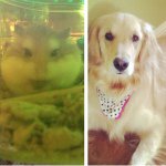🐹daisytannerfanpage🐶 - @daisytannerfanpage - Instagram