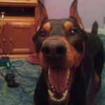 tanner.daisy.deisel - @tanner.daisy.deisel - Instagram