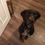 Daisy Tate - @daisy_tate_x - Instagram