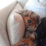 Ms. Daisy Tavarez Rivera - @adventuresofmiss_daisy - Instagram
