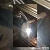 daisy - @daisy_temple2005 - TikTok