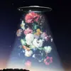 Daisy.yTemple - @daisy.ytemple - TikTok