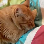 Daisy tena - @te.daisy - Instagram