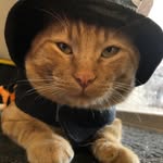 Daisytena - @daisytena25 - Instagram