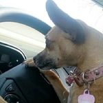 daisy terrones - @_daisy_terrones - Instagram