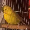 Daisy Terrones - @daisyterrones0 - TikTok