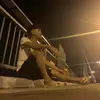 Daisy Terry - @daisy.terry3 - TikTok
