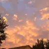 snowanddaisy - @daisythao05 - TikTok