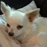 Daisy Tierney - @daisy.tierney - TikTok