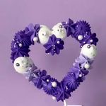 Daisy Barretto - @tilleydaisy - Instagram
