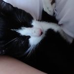 Daisy Tilley - @dtilley_ - Instagram