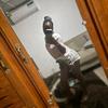 daisybailly - @daisybailly - TikTok