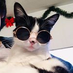 Daisy Tinoco - @lucyrms12 - Instagram