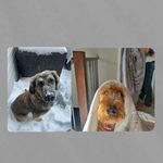 4 lifers - @daisy_and_titus - Instagram