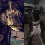 Daisy.Titus - @daisy.titus - Instagram