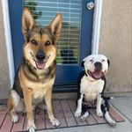 Titus & Daisy 💙💜 - @titusndaisy_proloungers - Instagram