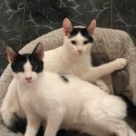 Titus and Daisy - @titusanddaisy - Instagram