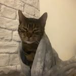Daisy grace tompkins - @daisygracetompkins - Instagram