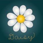 Daisy Toronto - @daisytoronto - Instagram