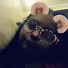 Daisy.toscano - @daisytoscanoofficial - TikTok